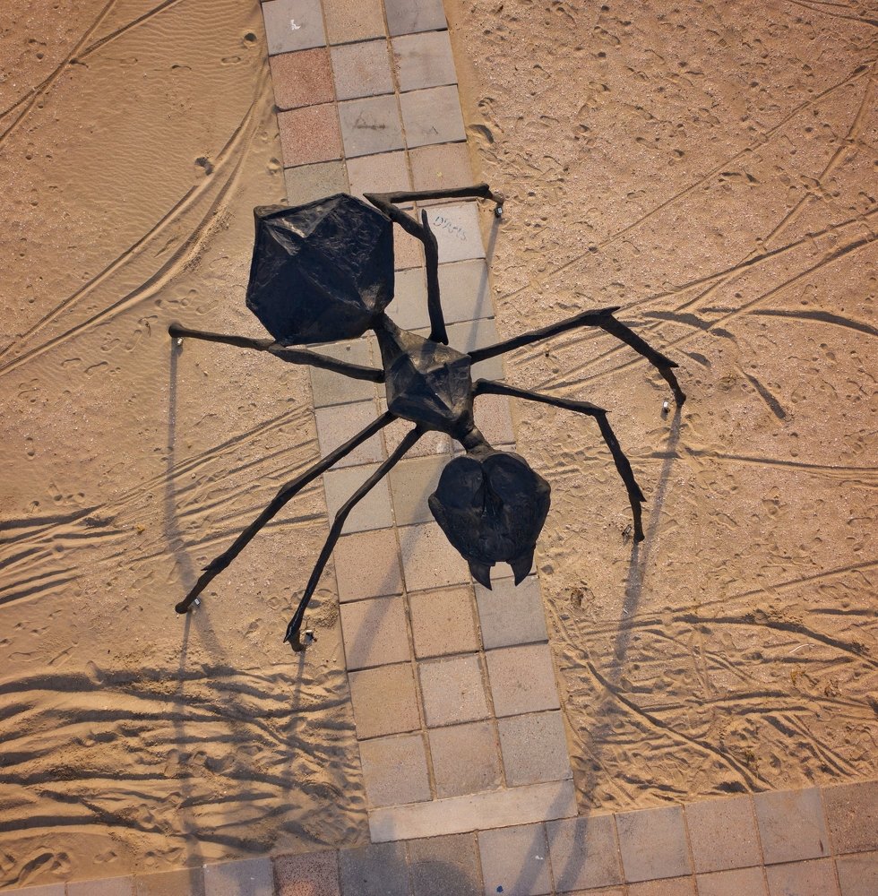 Photograph by Александр Шинкаревский