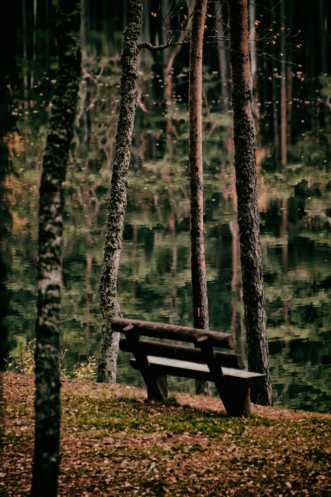 Photograph by Gaļina