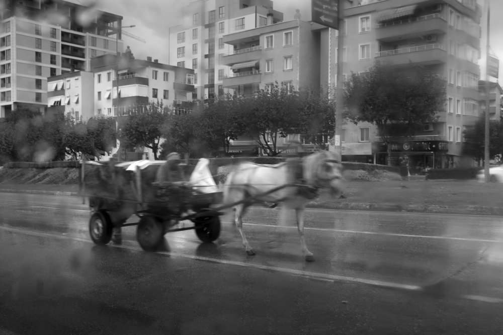 Photograph by Dogan Ozezgi