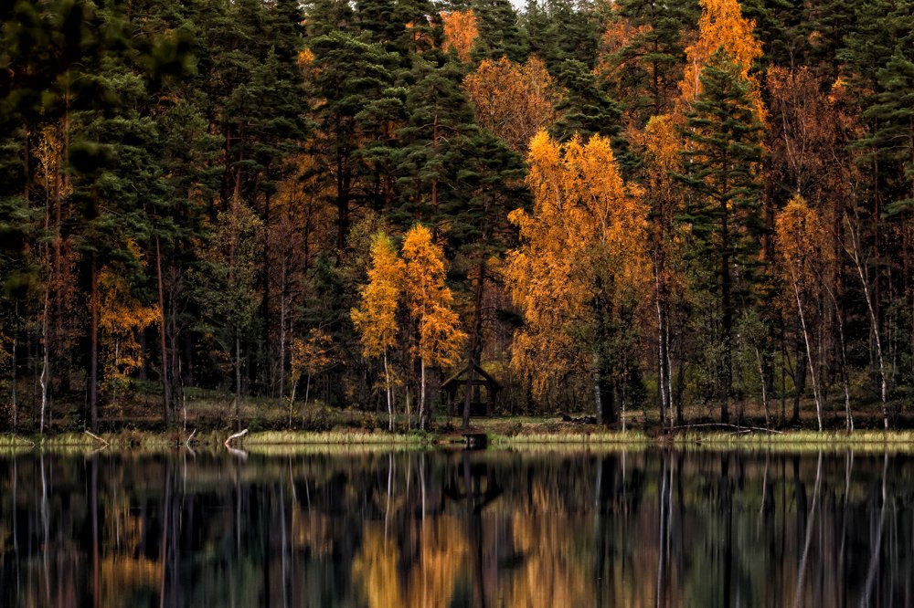 Photograph by Gaļina