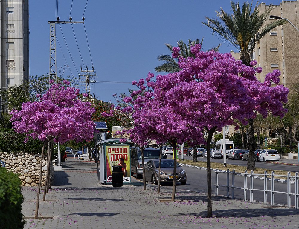 Photograph by Яков