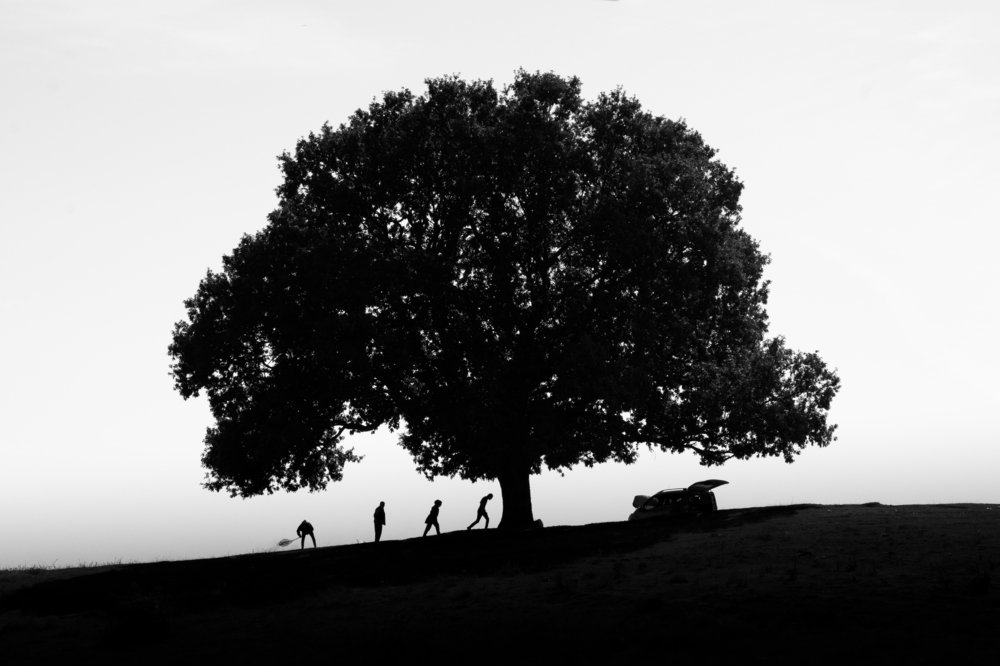 Photograph by Dogan Ozezgi