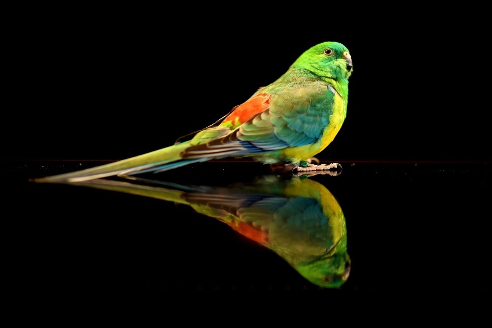 Photograph by Bartek Ziomek