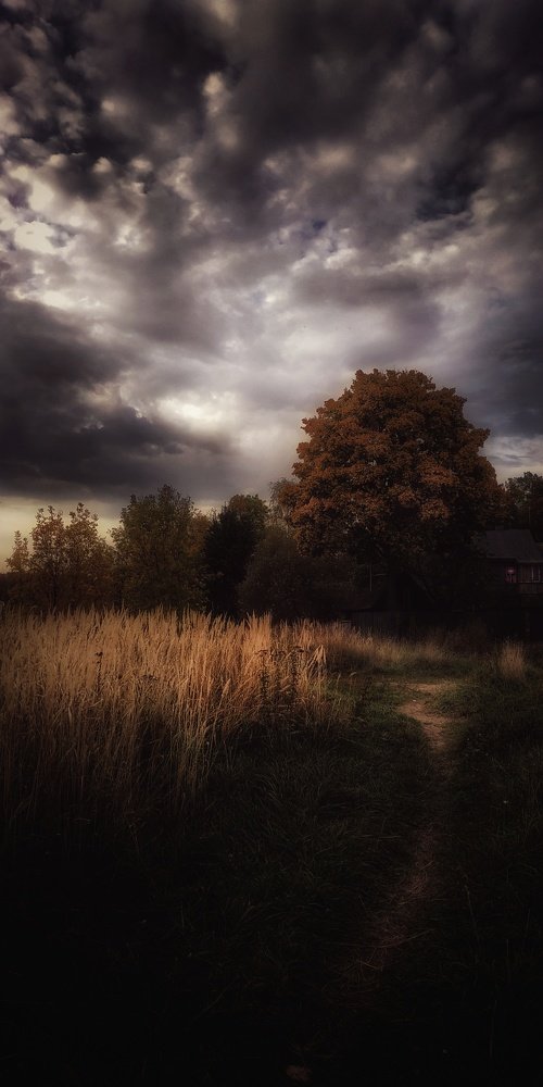 Photograph by Юлия Марфонова