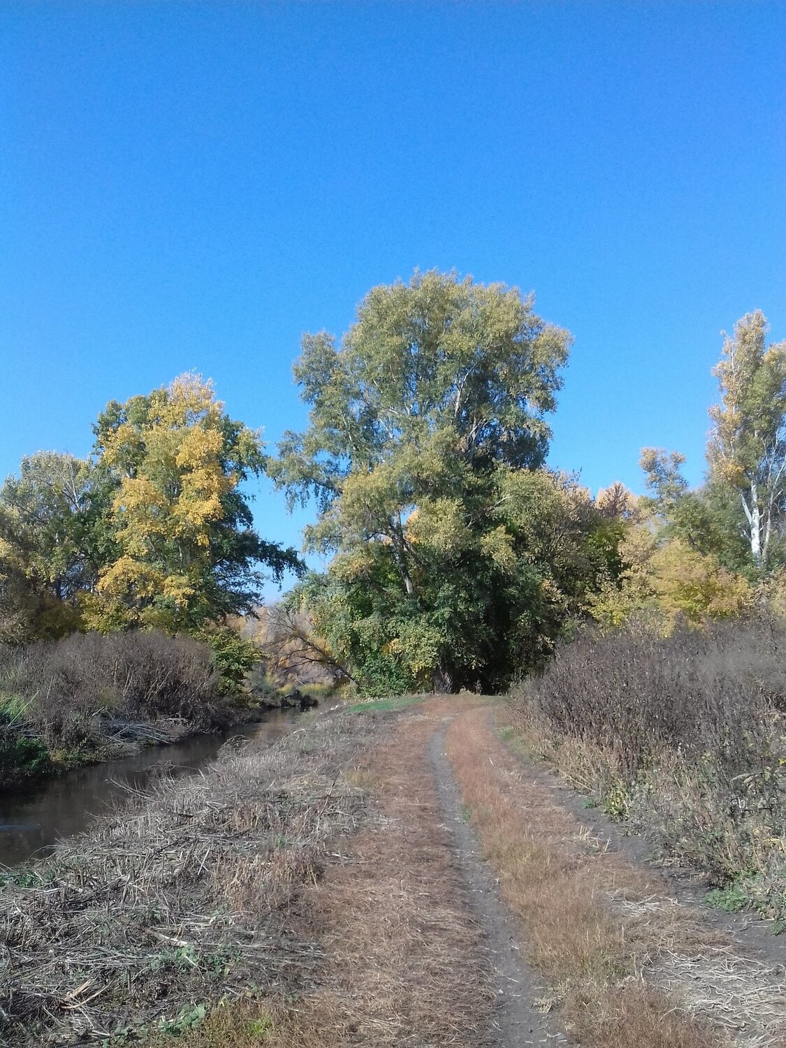 Photo #5139814