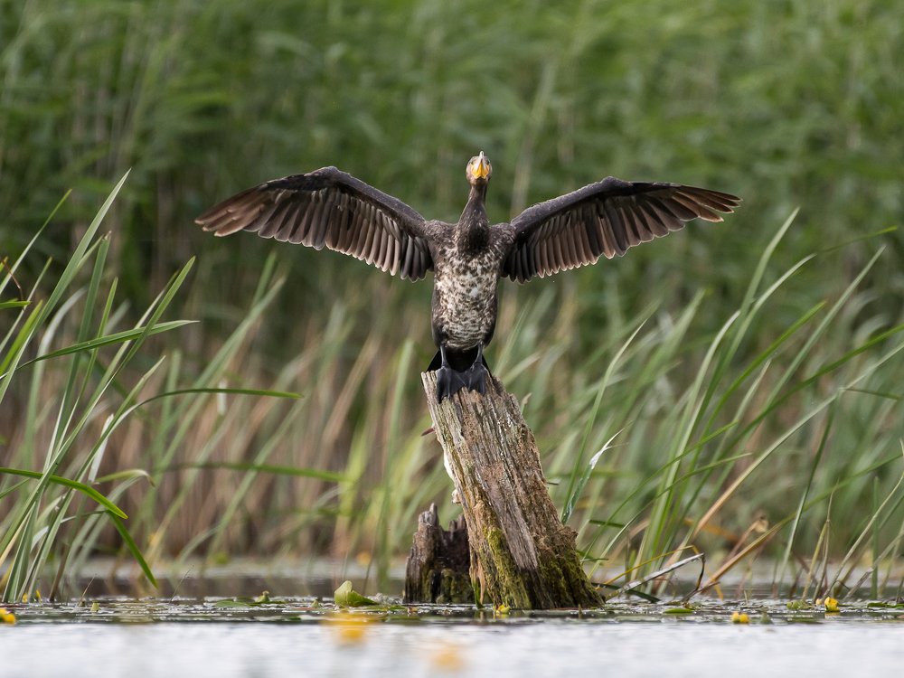 Photograph by Valerijs Bukovskis