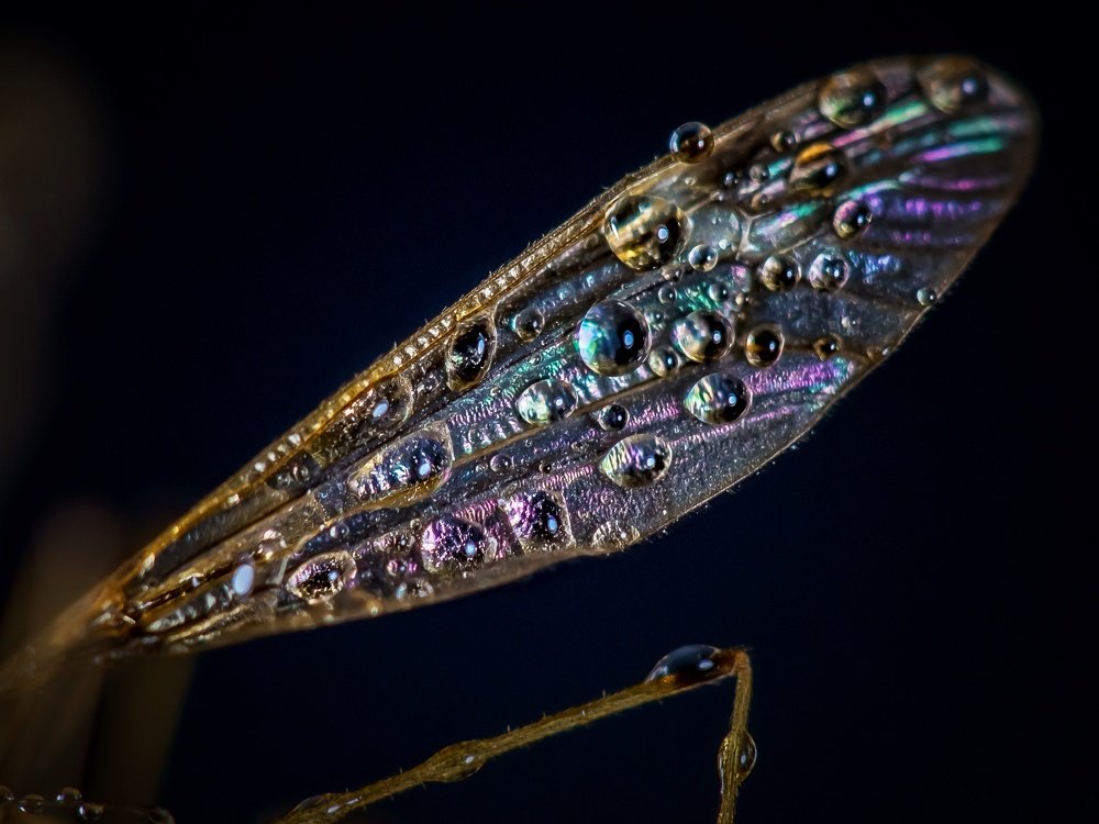 Photograph by Ксения Ершова