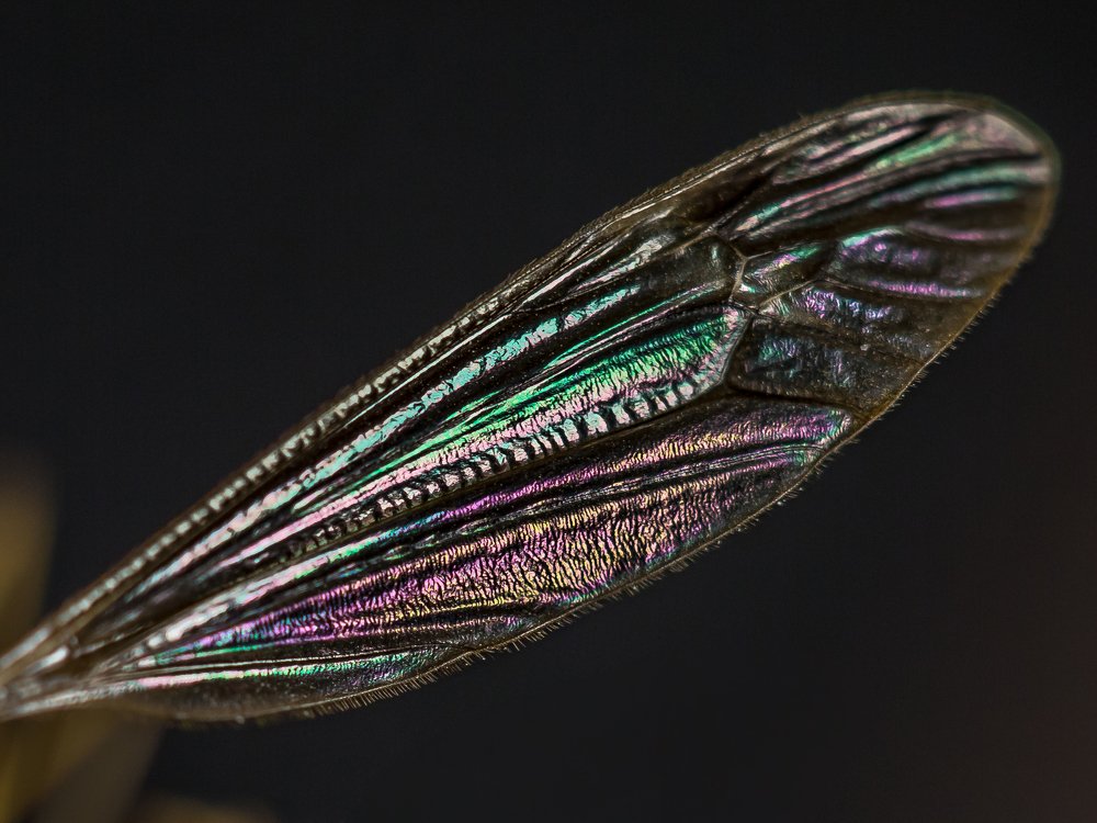 Photograph by Ксения Ершова