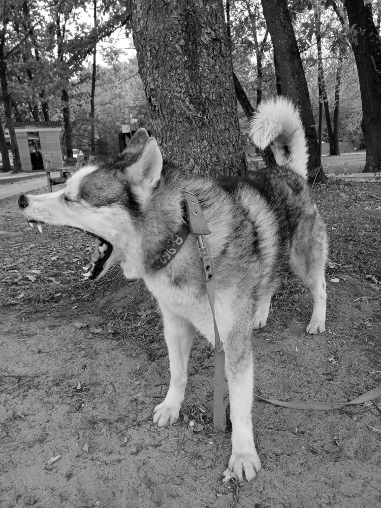 Photograph by Жанна Иванисенко