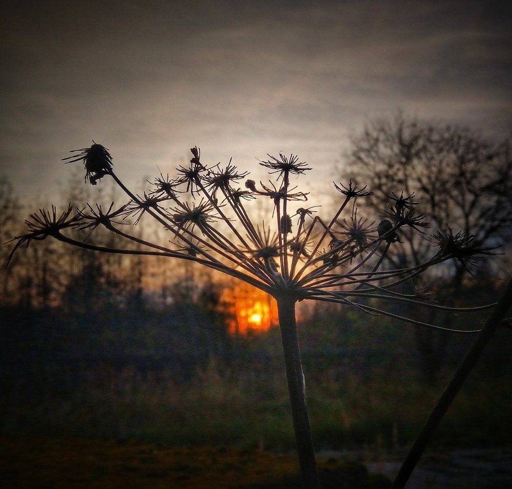 Фотография автора Виктор Конев