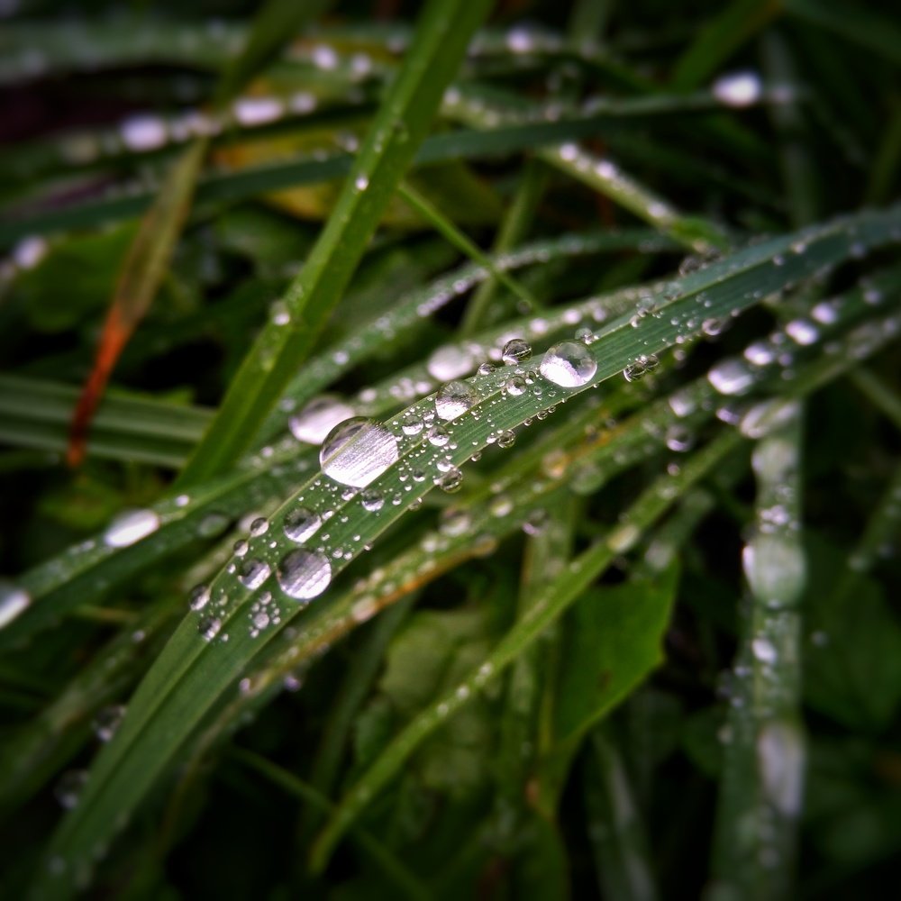 Фотография автора Виктор Конев