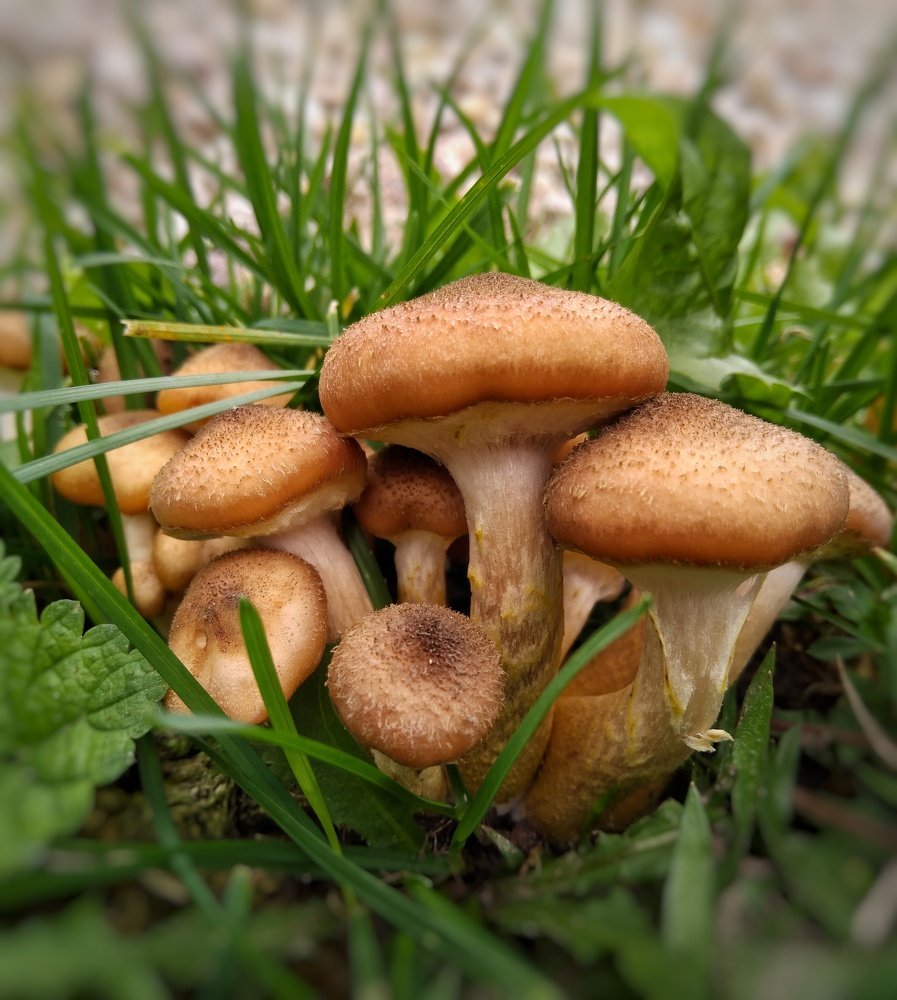 Фотография автора Виктор Конев