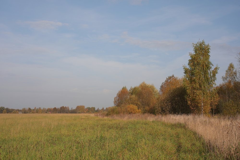 Photograph by Мария Харлашова