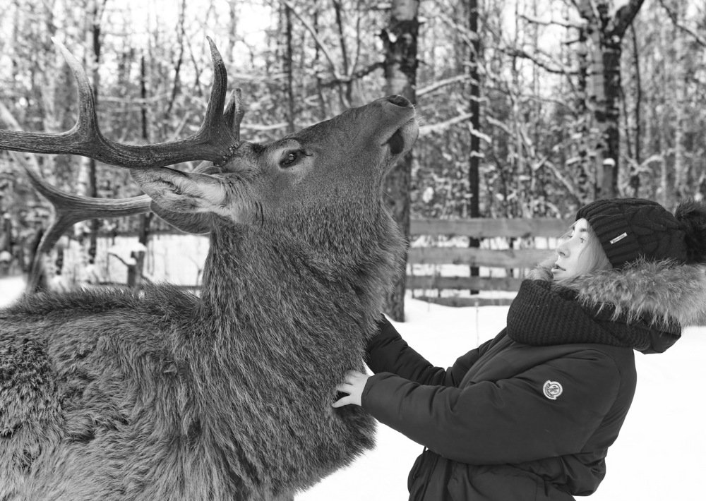 Photograph by Ирина Сушко