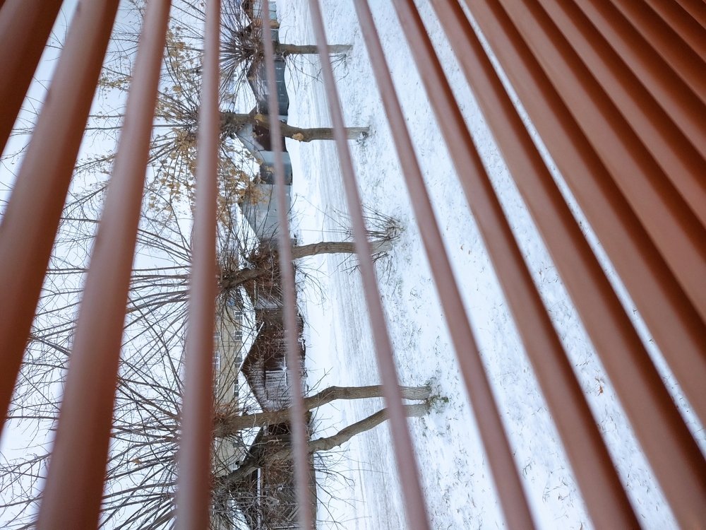 Photograph by Илья Борзенков