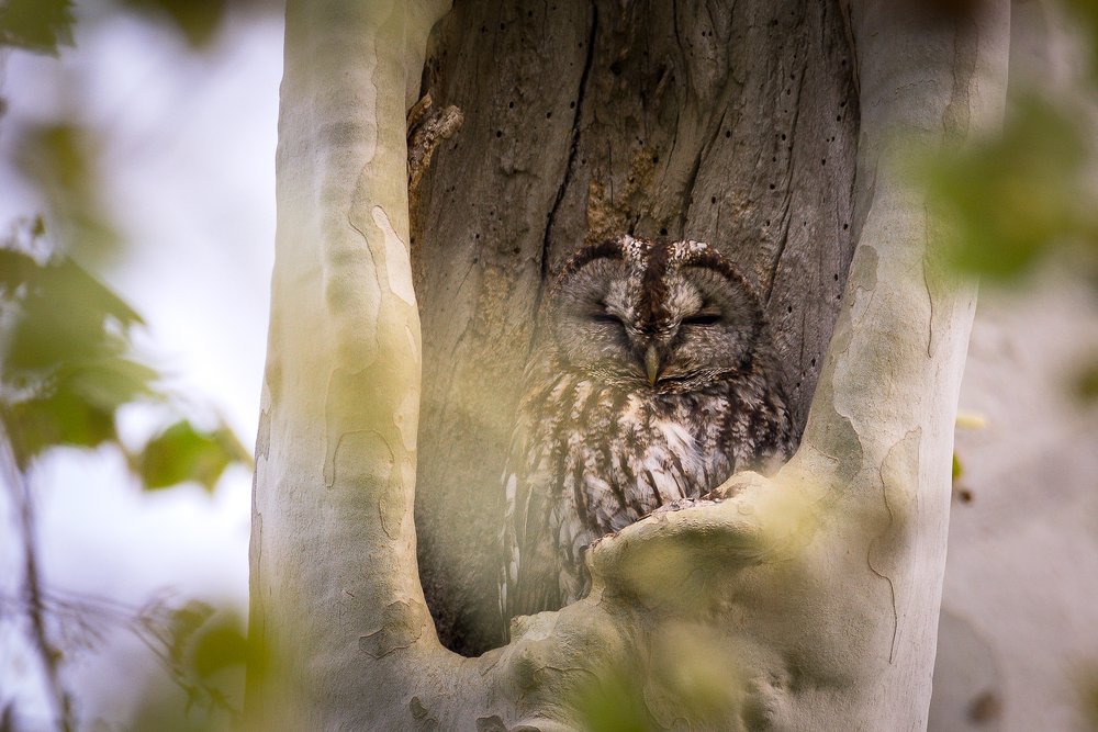 Photograph by Mario Cibulka