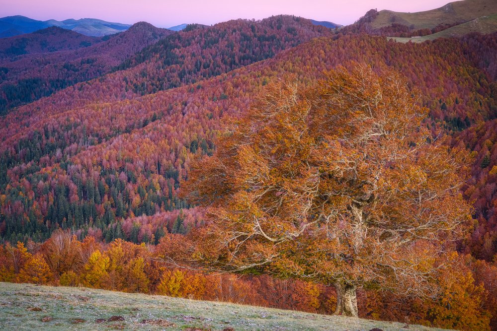 Photograph by David Ruiz Luna