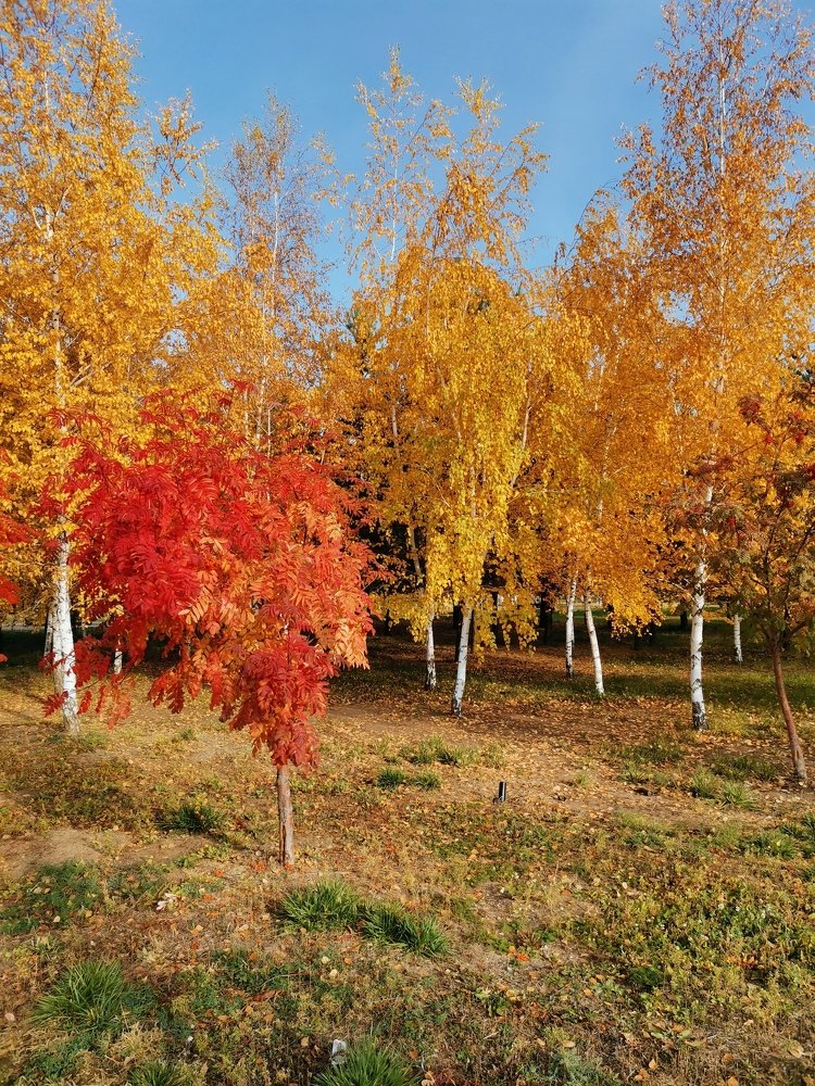 Photograph by Kuralay Malmakova