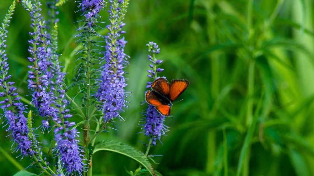 Photograph by Евгений Калагаев