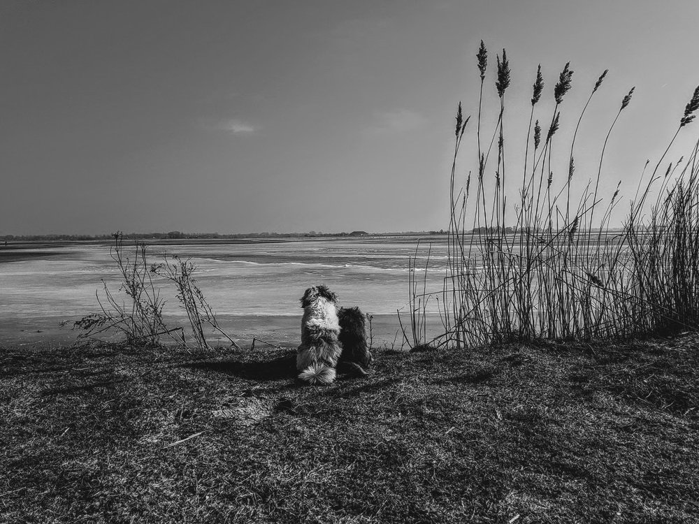 Photograph by Anneliese Wilpe