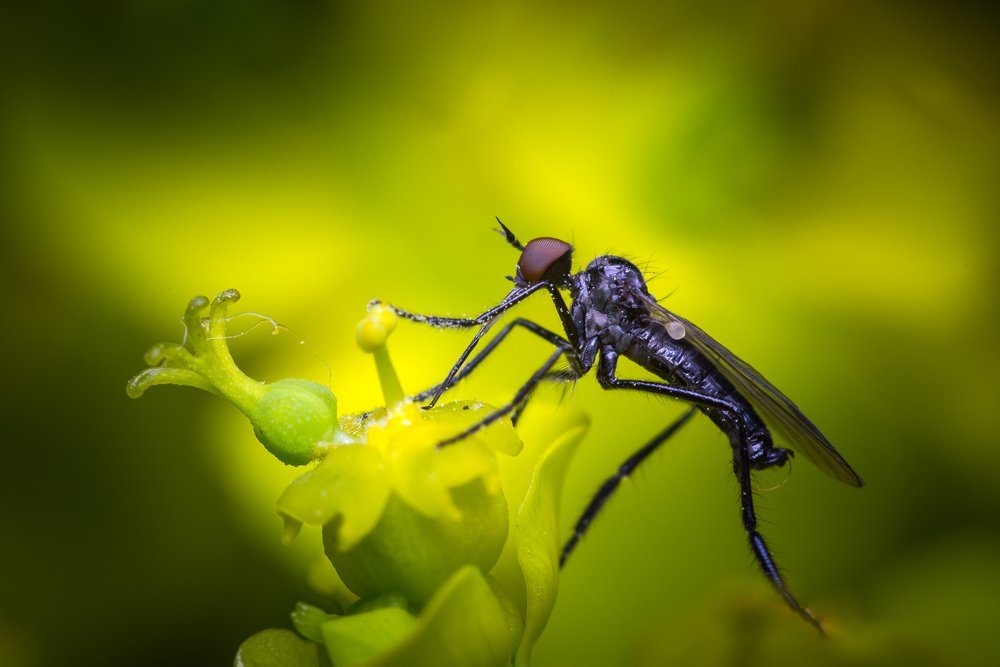 Photograph by Mario Cibulka