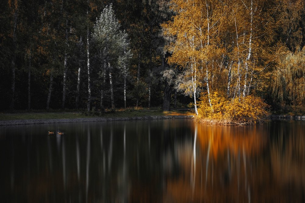 Photograph by Екатерина