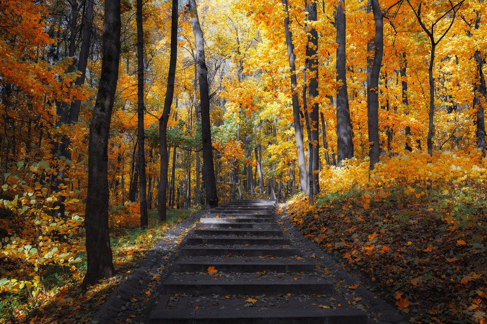 Photograph by Екатерина