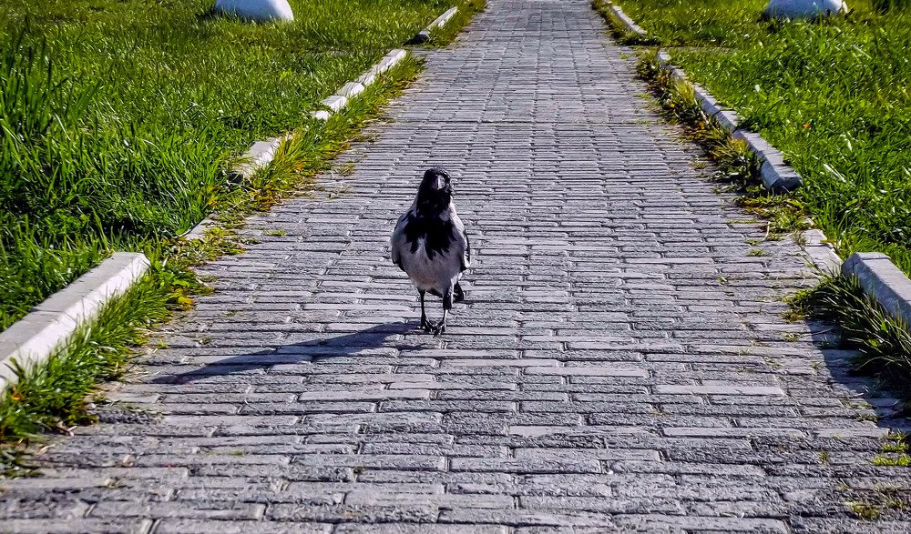 Photograph by Светлана Перминова