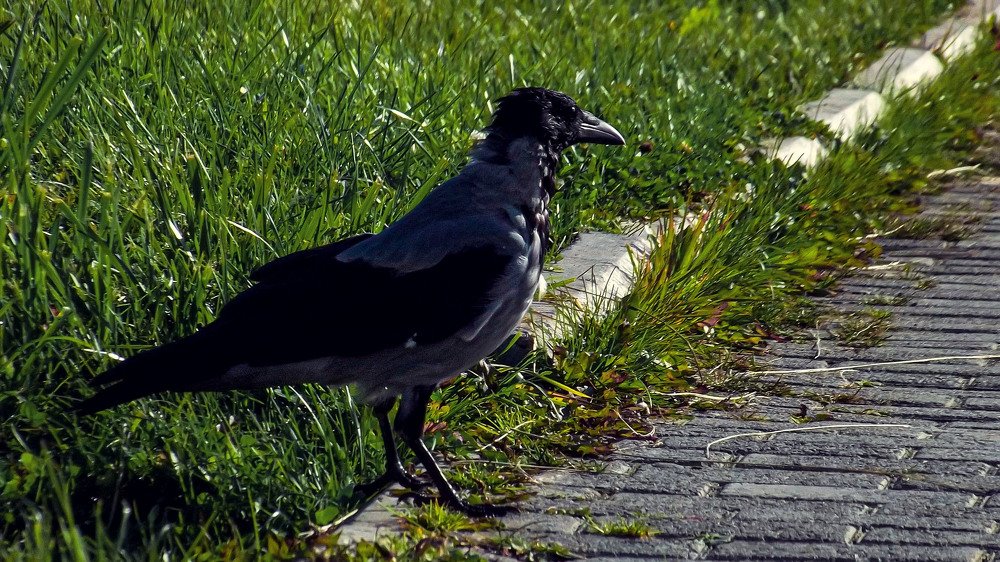 Photograph by Светлана Перминова