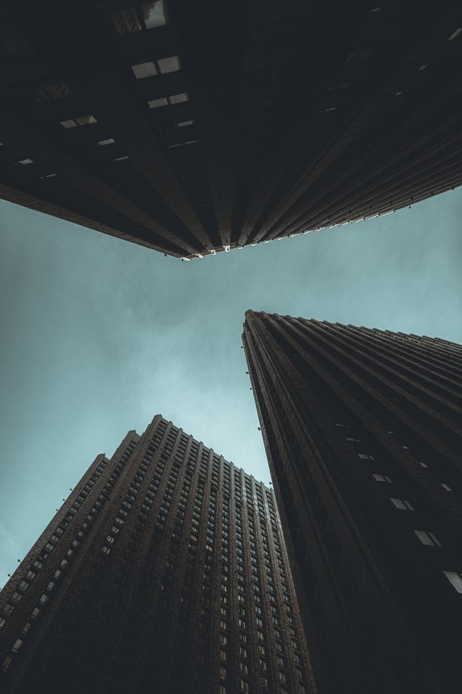 Среди каменных джунглей - Among the stone jungle