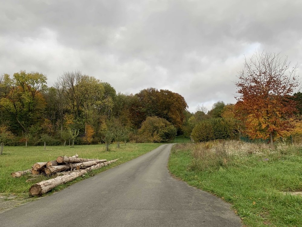 Photograph by Марина Дикманн