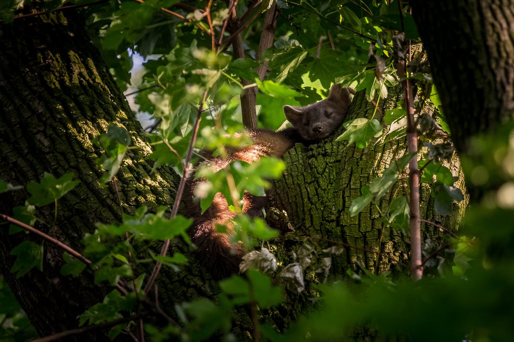 Photograph by Mario Cibulka