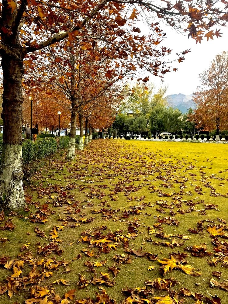 Photograph by Afnan Shafqat