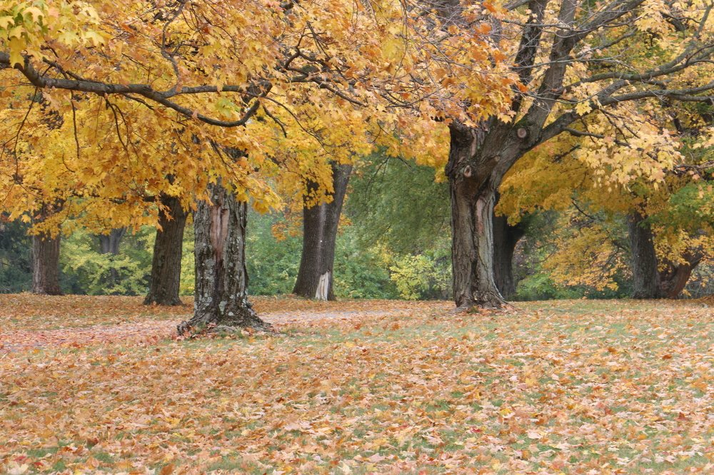 Photograph by Маргарита Венсил.