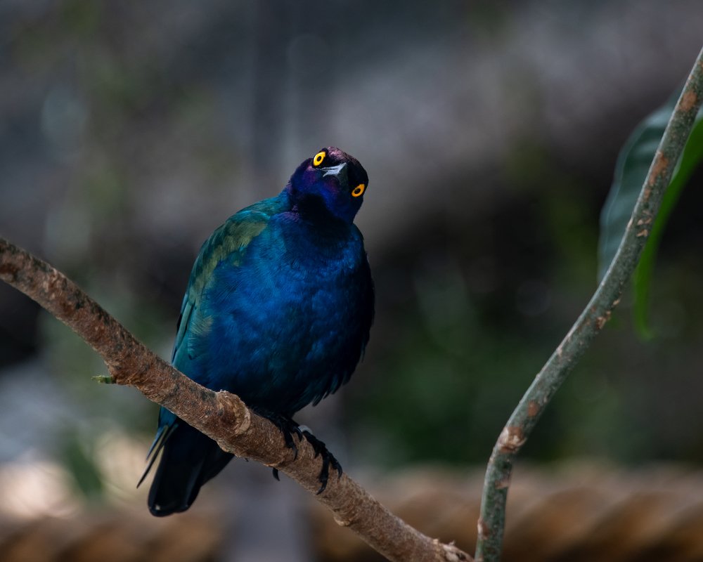 Photograph by Ильхам Шакиров