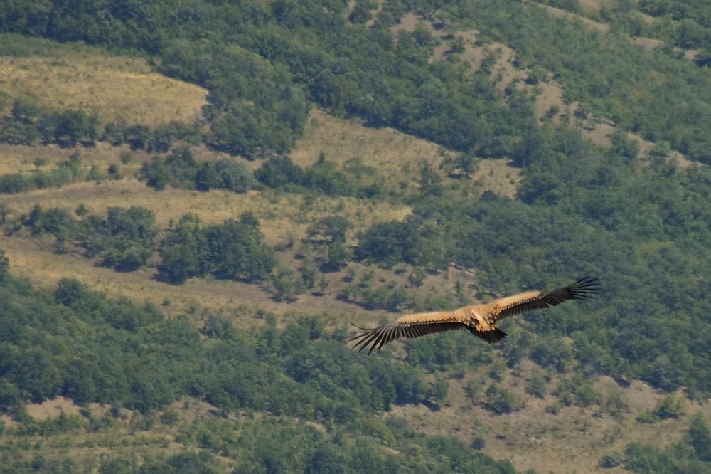 Photograph by Владимир Леликов-Кузьменко