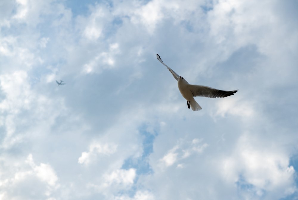 Photograph by Ильхам Шакиров