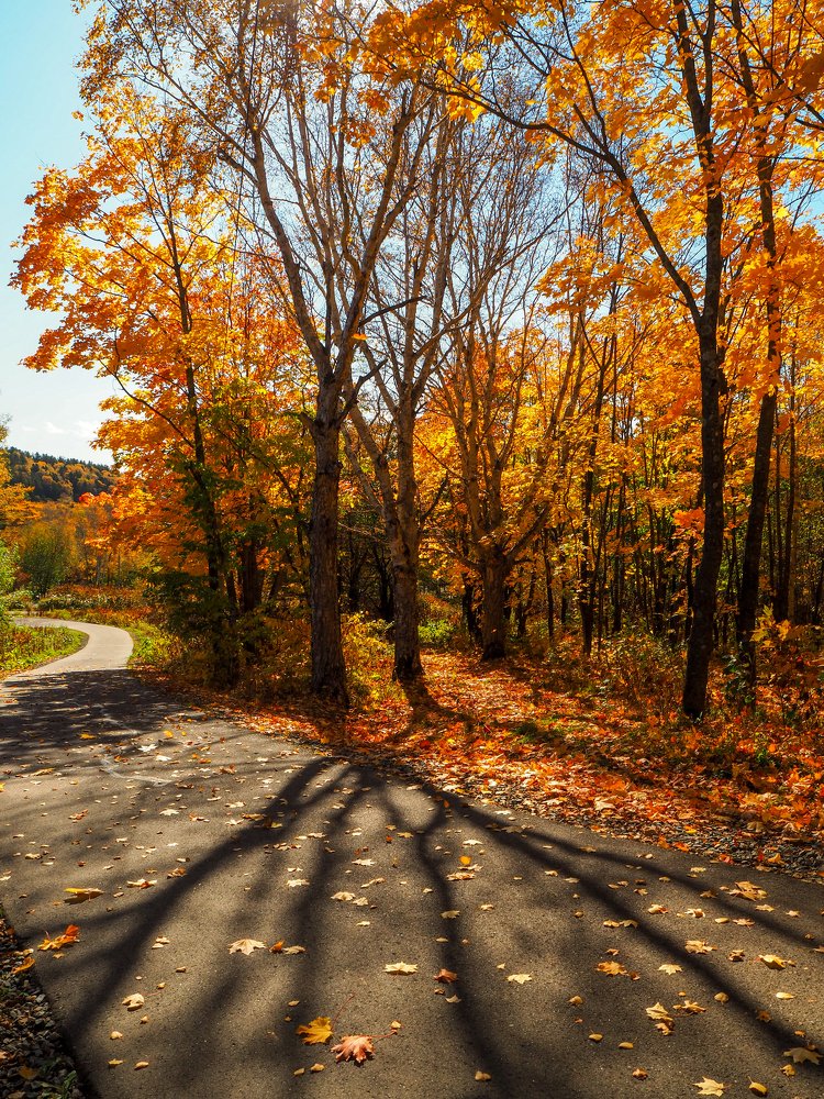 Фотография автора Olena Vorotyntseva