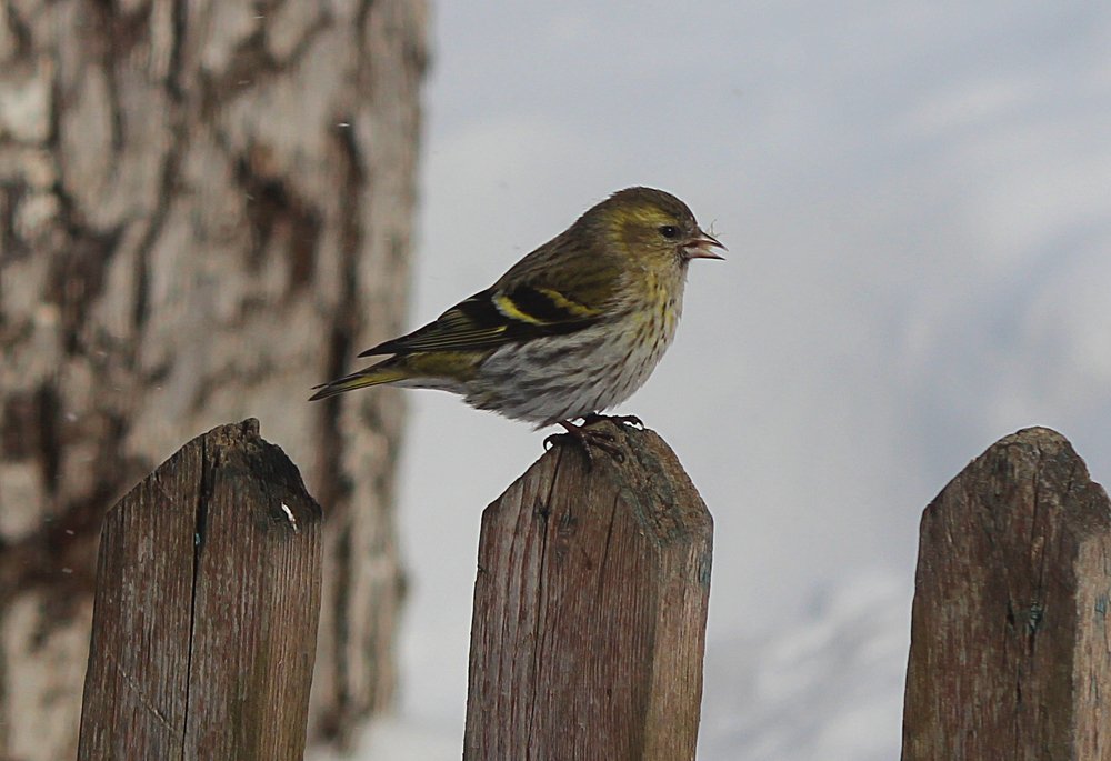после плотного обеда