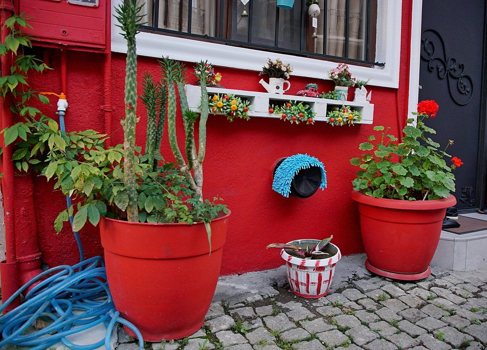 Photograph by Евгений Аккуратов