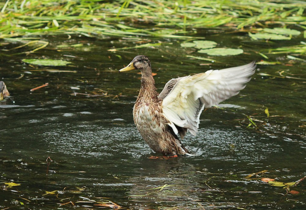 Во всей красе!