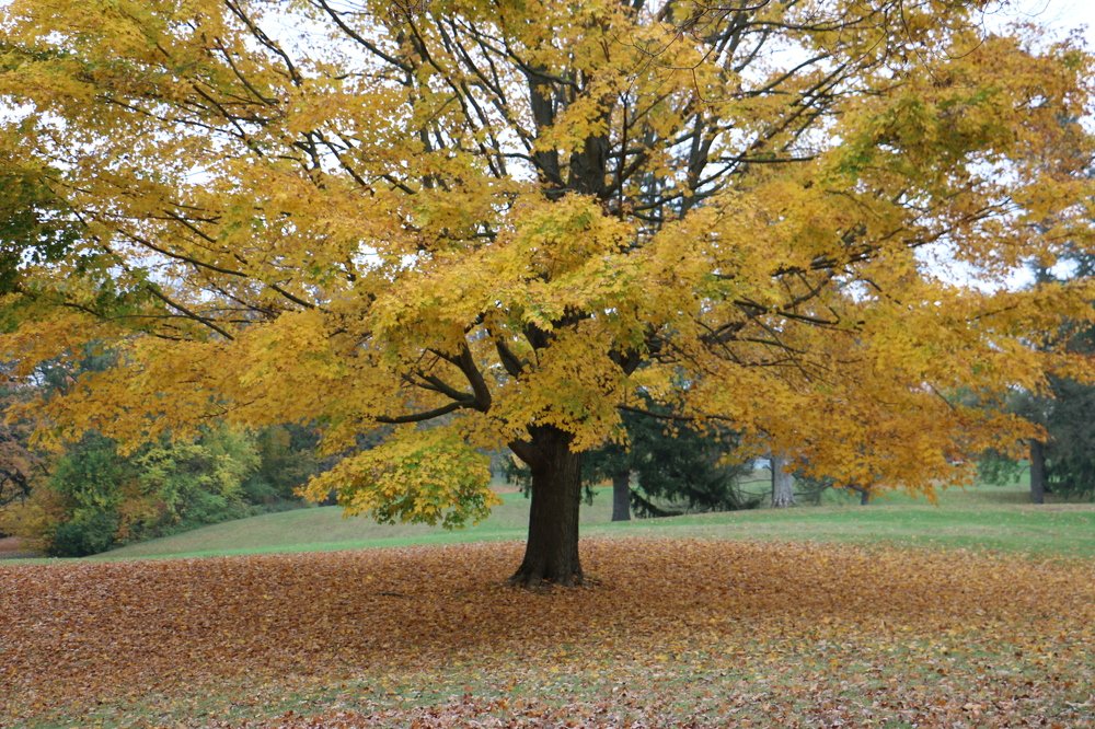 Photograph by Маргарита Венсил.