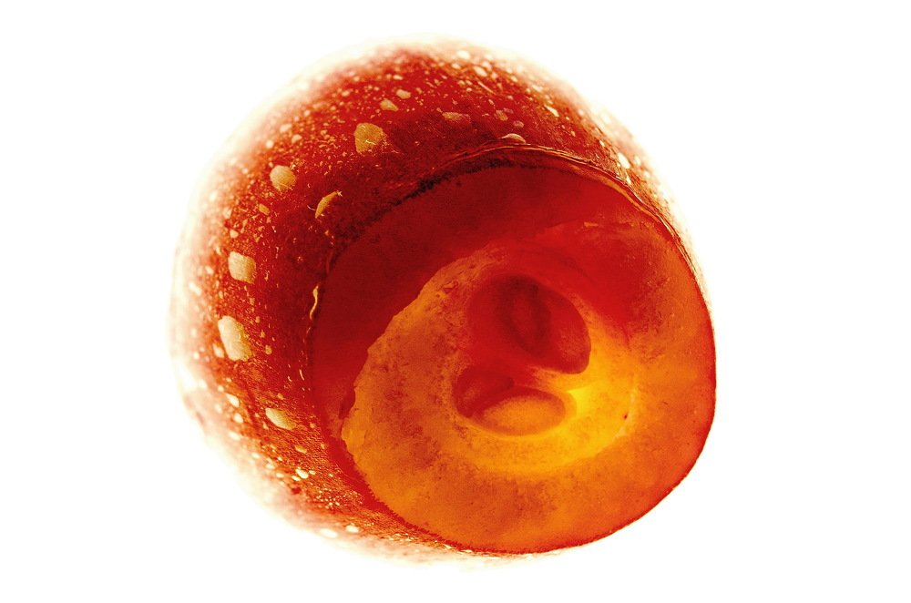 Photograph by Александр Шумаков