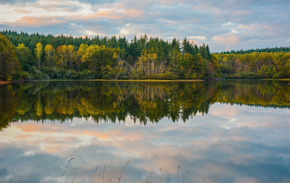 Photograph by LYUDMYLA POKRYSHEN