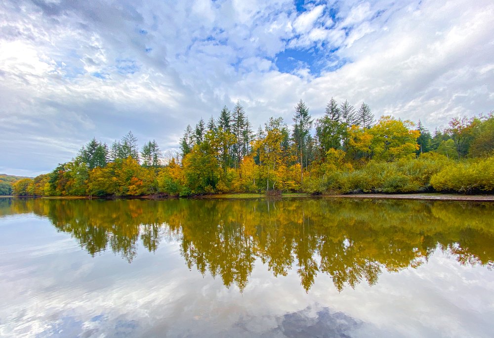 Photograph by LYUDMYLA POKRYSHEN