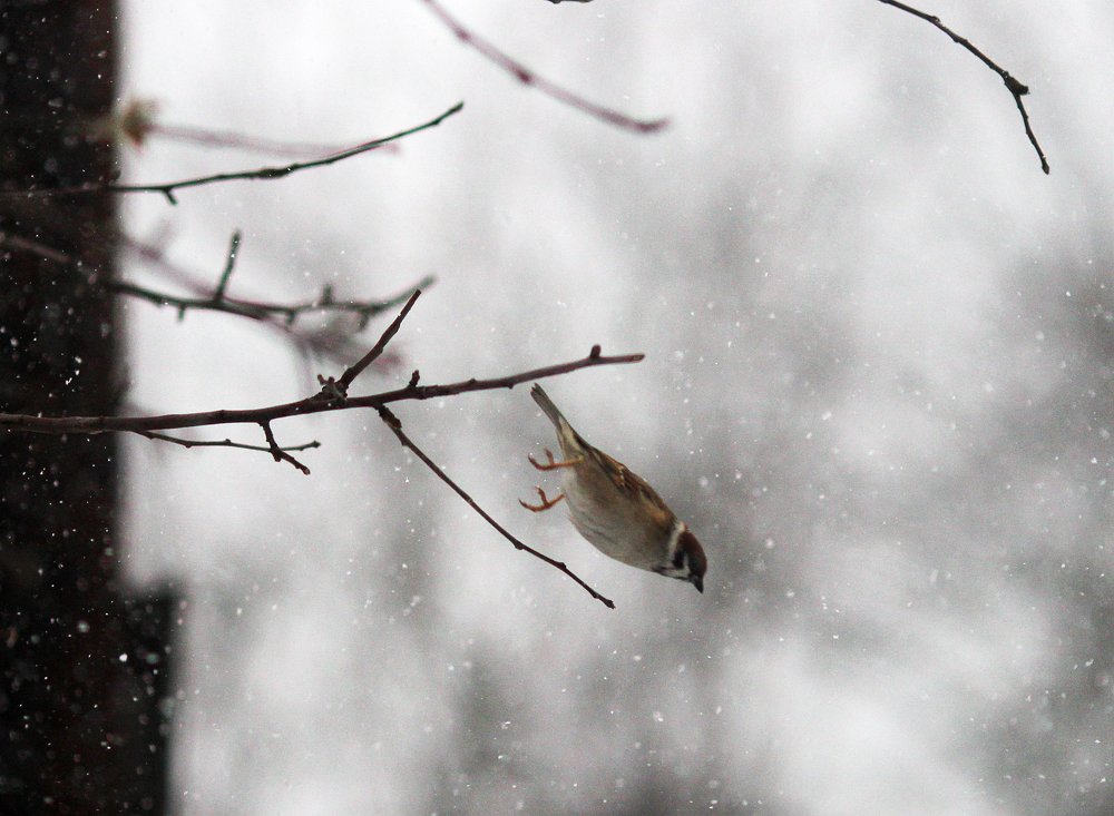Вижу цель- лечу к цели!