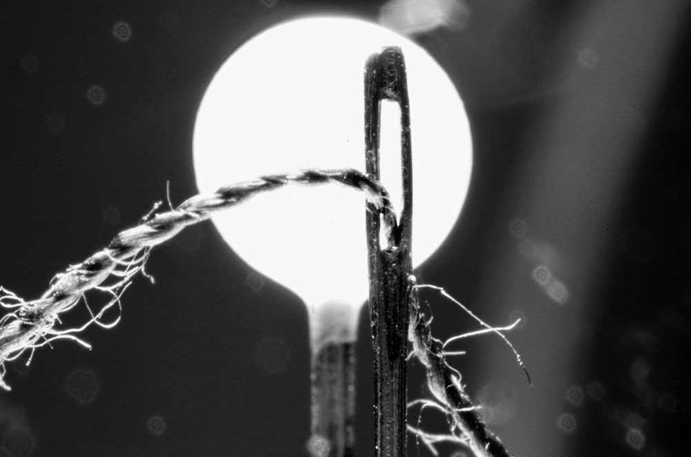 Photograph by Александр Шумаков