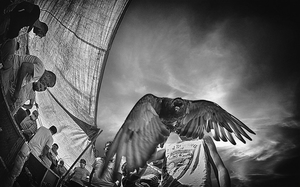 Фотография автора AYLIN EROZCAN