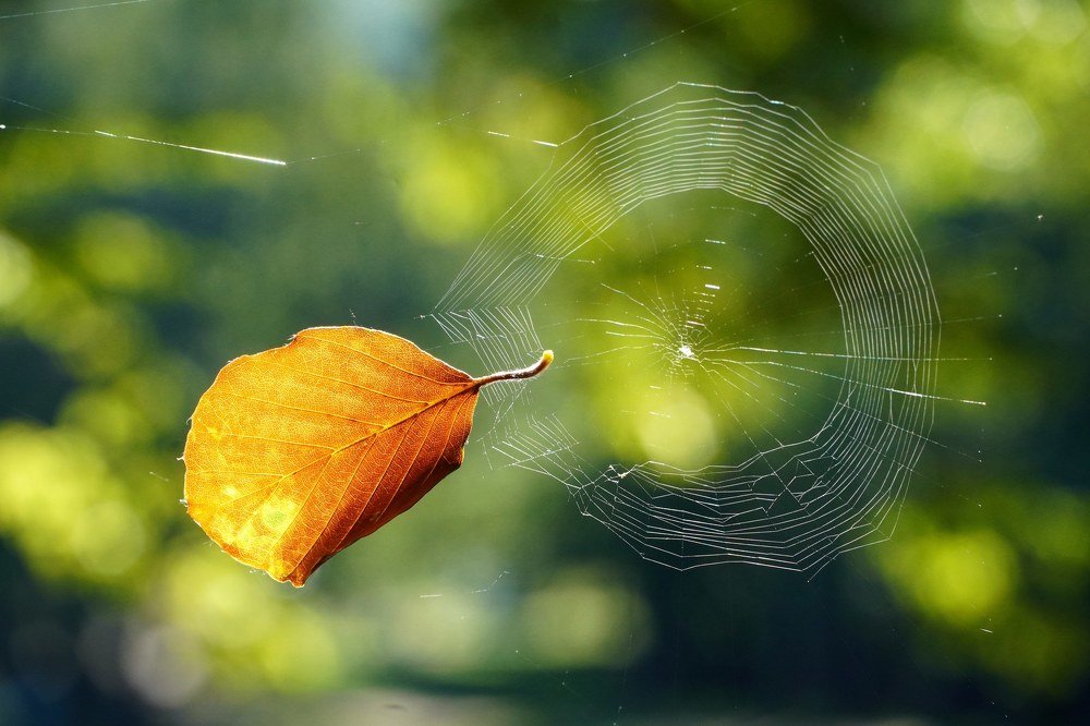 Фотография автора Katarina Sediva