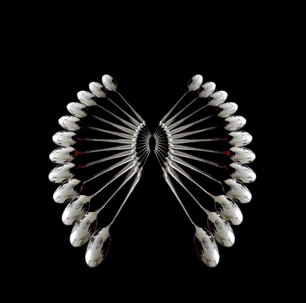 Photograph by Anneliese Wilpe